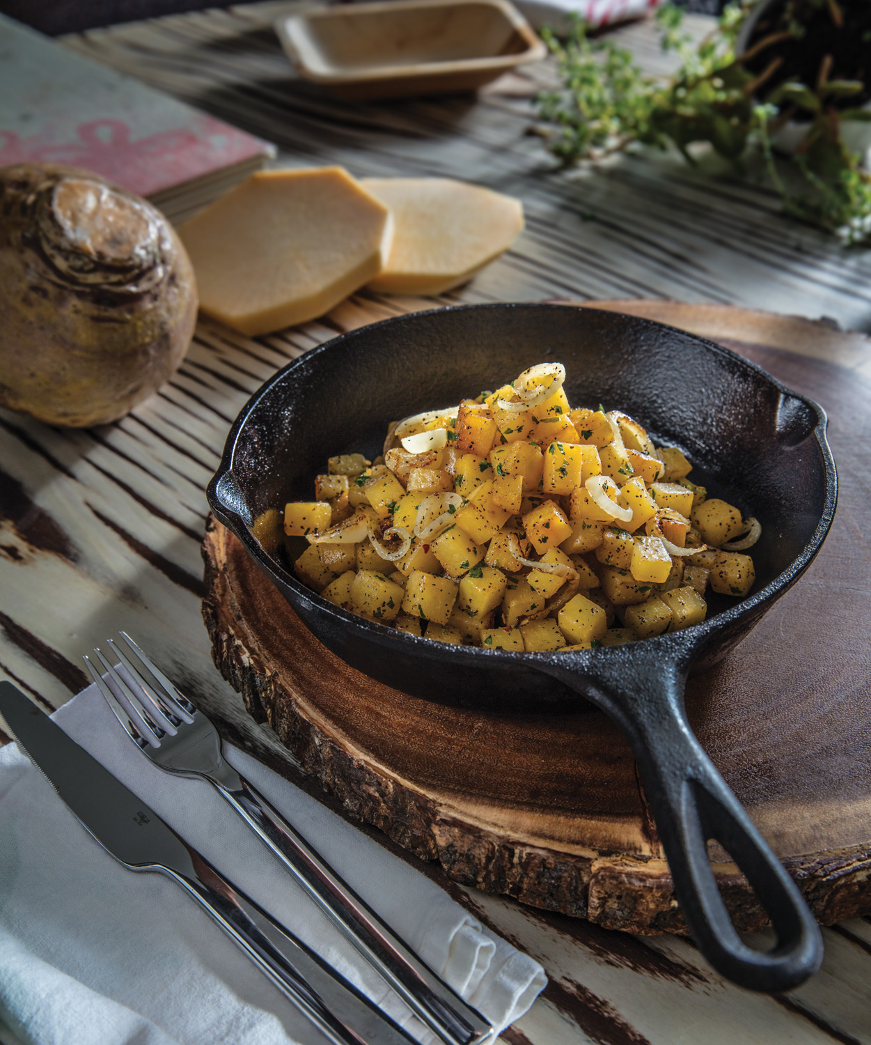 HS_food_0100